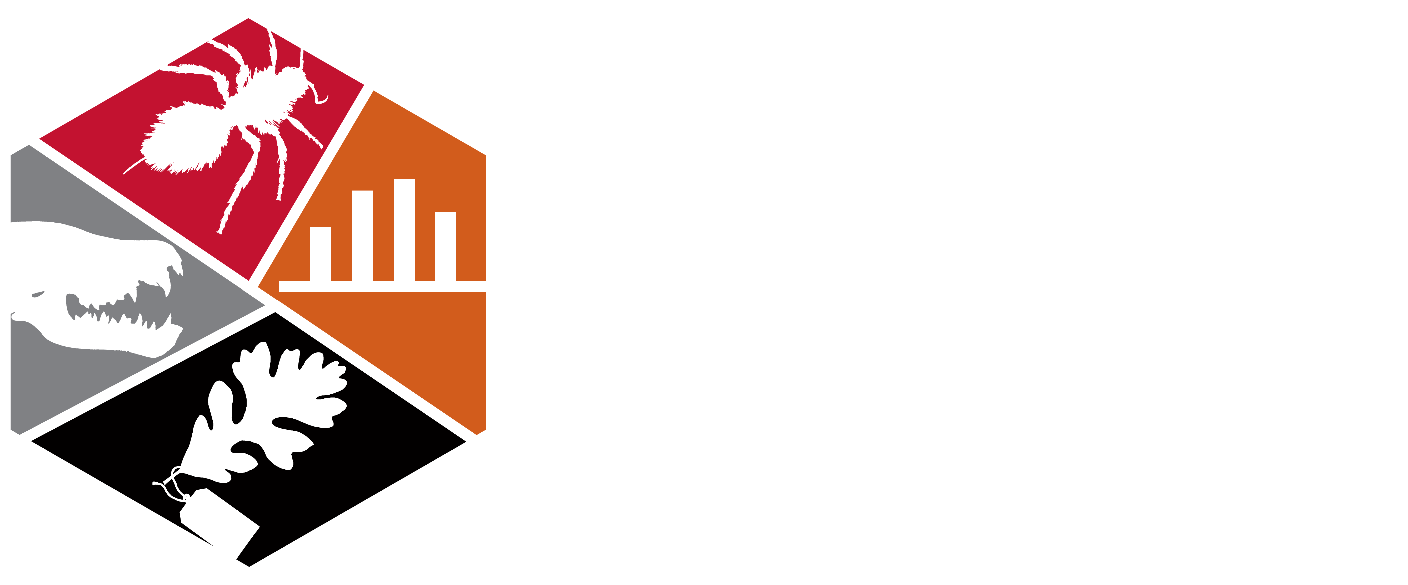 Epic Bioscience logo